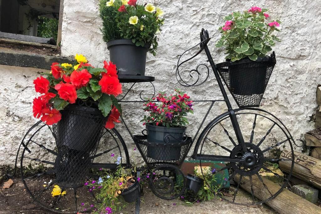 Rhubarb Cottage Enniskillen Exterior photo