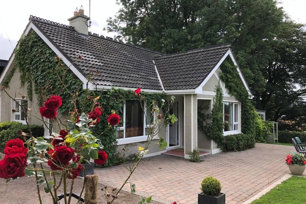 Rhubarb Cottage Enniskillen Exterior photo